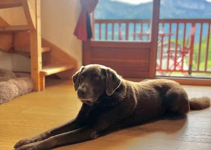 Le Nid De St Ger' Apartmán Saint-Gervais-les-Bains